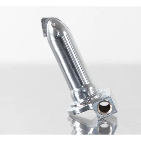 Livrare rapidă Strida - Pin directie