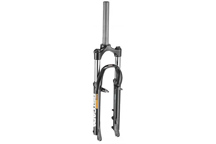 Livrare rapidă Furca Bicicleta Rst Capa-T - 20 Inch, 50 Mm, Negru