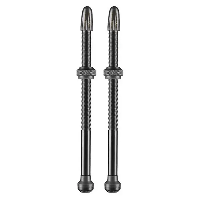 Ventil SCHWALBE Tubeless (Set) 100mm Cumpără acum