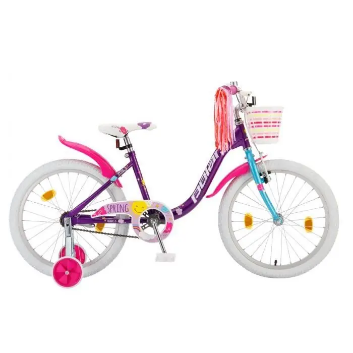 Bicicleta Copii Polar Spring - 20 Inch Mov Cumpărături sigure