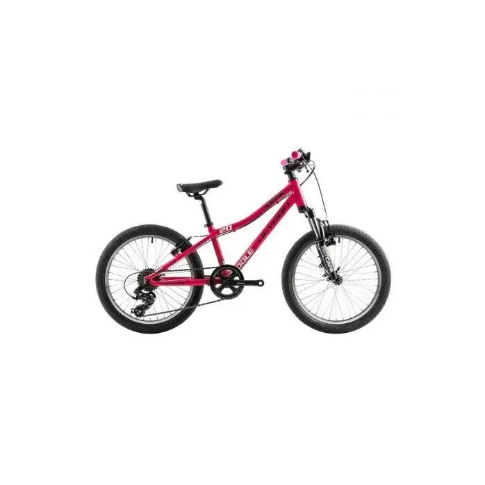 Bicicleta Copii Devron Riddle K2.2 Roz 20 Inch Cumpărături sigure